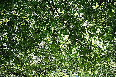 《逆向坍塌：面包房行动》预告片 新特工白糖登场